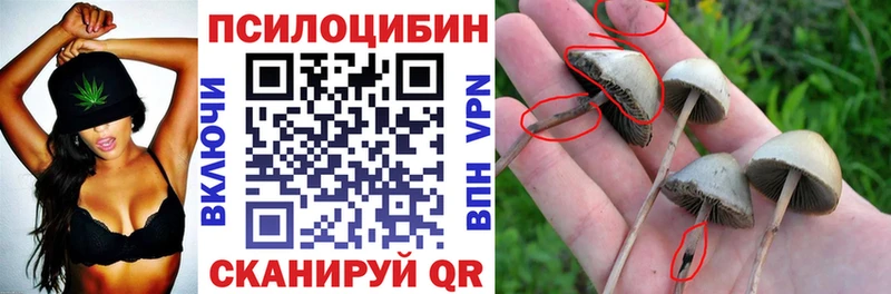 Галлюциногенные грибы Cubensis  Сертолово 